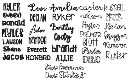 Wipeable Nylon Luggage